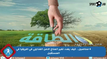 4 محاصيل.. كيف يهدد تغير المناخ الأمن الغذائي في أفريقيا في المستقبل